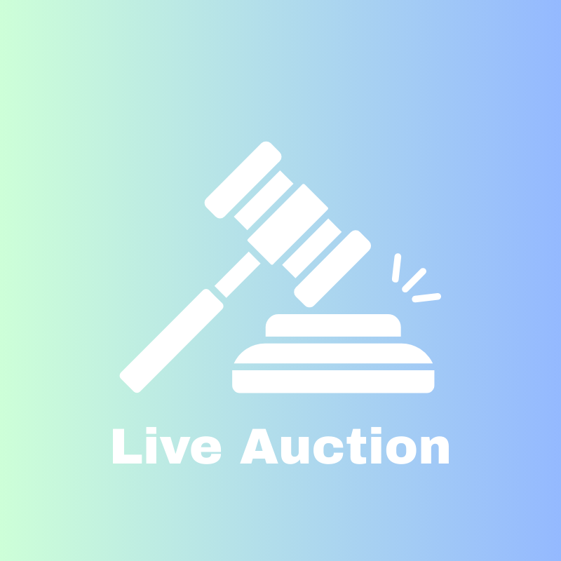 Live Auction